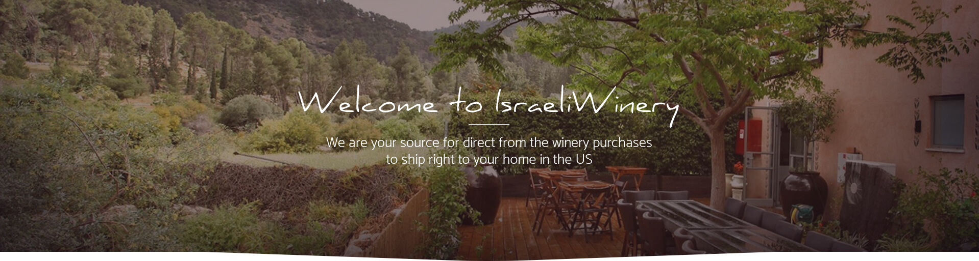 Home page, main banner Israeli Winery