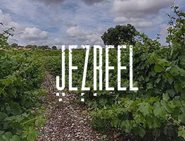 Jezreel category