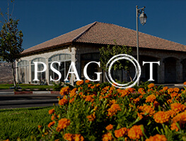 Psagot category