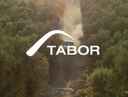 Tabor category