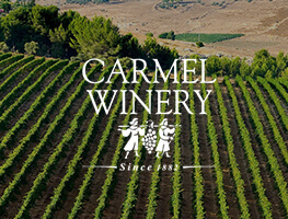Carmel category