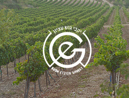 Gushetzion category