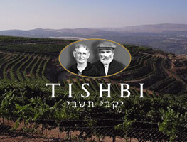 Tishbi category