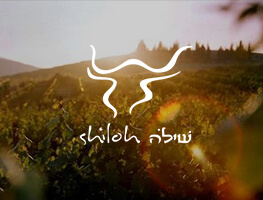Shiloh category